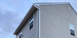 Best Siding Painting and Refinishing  in Evans, CO